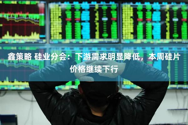鑫策略 硅业分会：下游需求明显降低，本周硅片价格继续下行