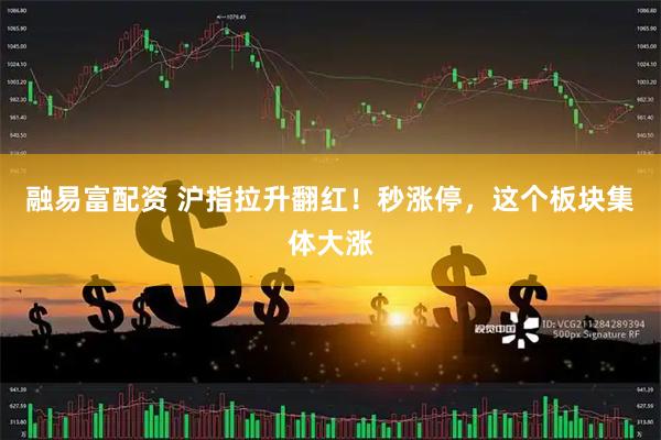 融易富配资 沪指拉升翻红！秒涨停，这个板块集体大涨