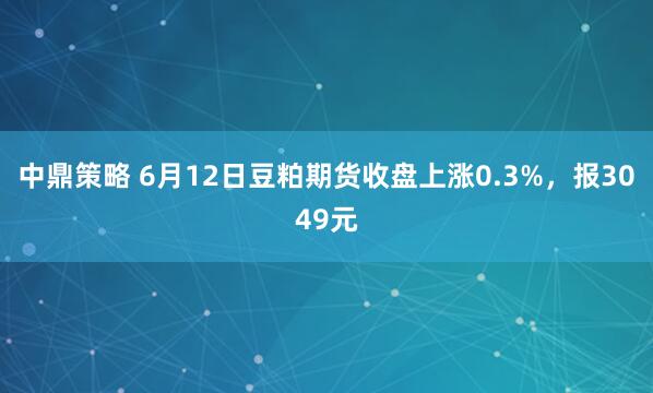 中鼎策略 6月12日豆粕期货收盘上涨0.3%，报3049元