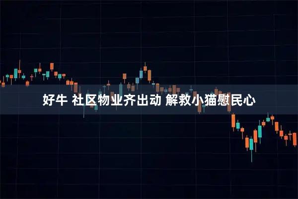 好牛 社区物业齐出动 解救小猫慰民心